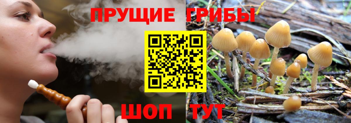 Галлюциногенные грибы Psilocybe  Псилоцибиновые грибы GOLDEN TEACHER  Коммунар  Вход с VPN 